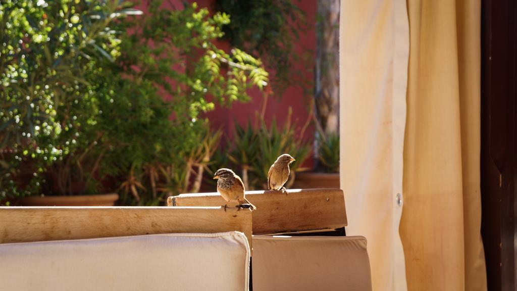 Riad Honey Marrakesh Luaran gambar